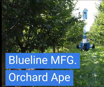 Blueline Orchard Ape Video