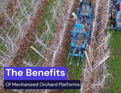 The Future is Now - The Benefits of Orchard Platforms Video