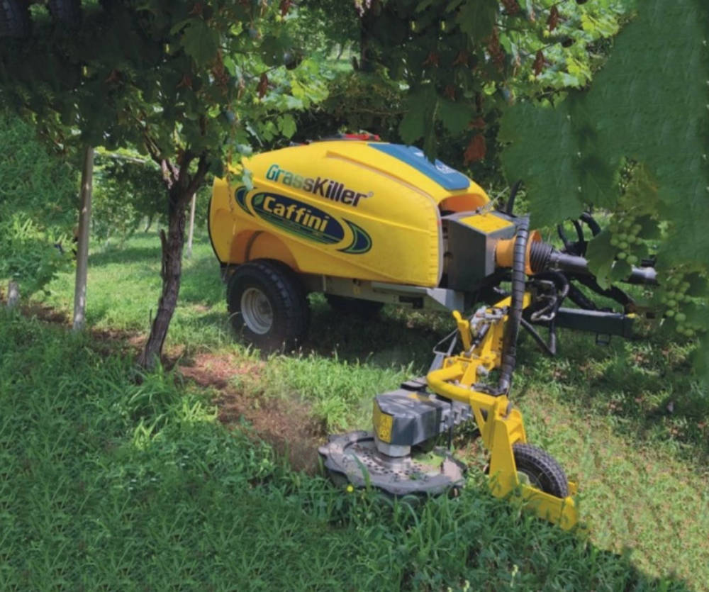 Caffini Grass Killer
