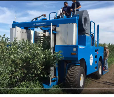 Blueline BH200 berry harvester Video