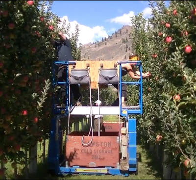 Harvesting Apples with an Electric Platform Video